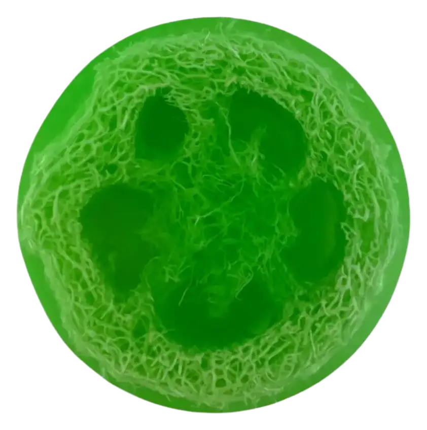 Soap Cute California Watermelon Natural Loofah Exfoliating Soap Bar
