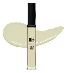 Etude House Big Cover Skin Fit Concealer Pro Neutral Mint