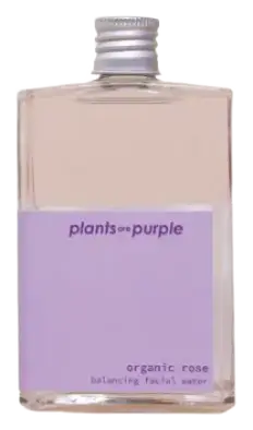 Plants are Purple Organic Rose