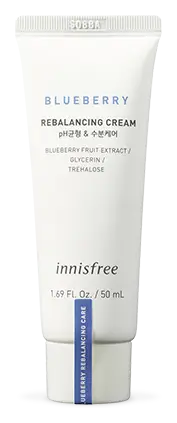 innisfree Blueberry Rebalancing Cream