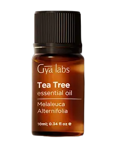 Gya Labs Tea Tree Essential Oil