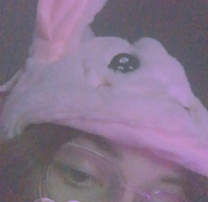 lingoflamingo's avatar