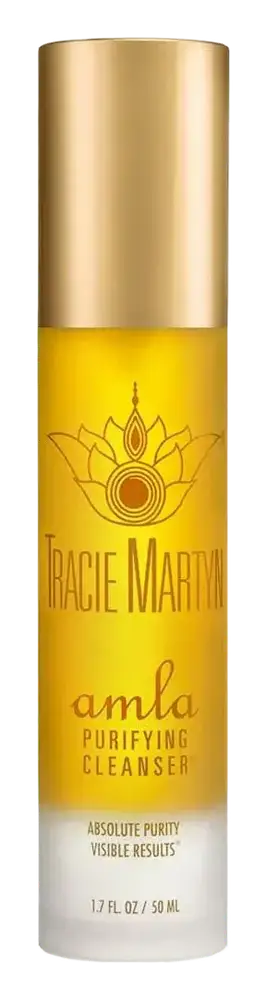 Tracie Martyn Amla Purifying Cleanser