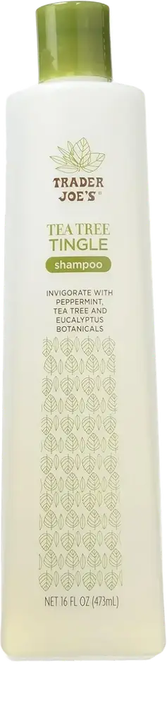 Trader Joe's Tea Tree Tingle Shampoo
