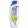 Head & Shoulders Instant Oil Control 2 In 1 Shampoo