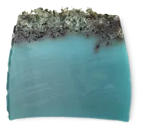 LUSH Sea Vegetable Soap