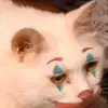 johannahisabel's avatar