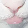 SashimiCatTheTheSashimiCat_742's avatar