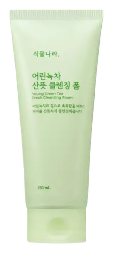 Shingmulnara Young Green Tea Fresh Cleansing Foam
