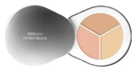 Dear.A Perfect Cover Concealer Palette C01
