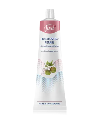 Just Lamelloderm Repair