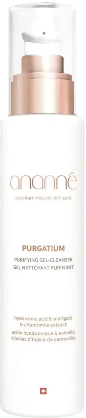 ananné Purgatium Purifying Gel Cleanser