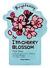 Cherry Blossom