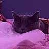 melanie_1234's avatar