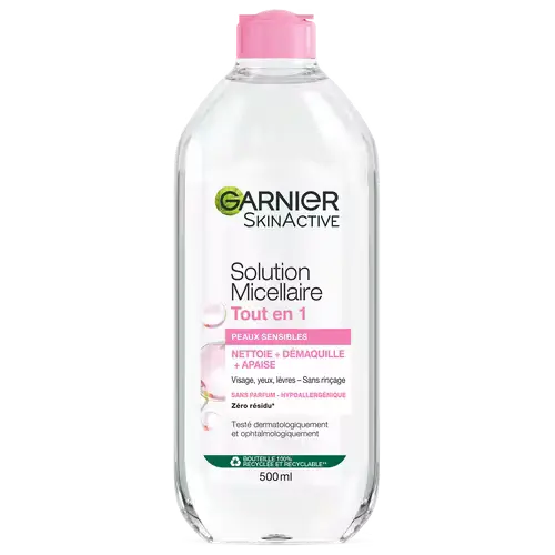 Garnier Micellar Cleansing Water All-In-1 France
