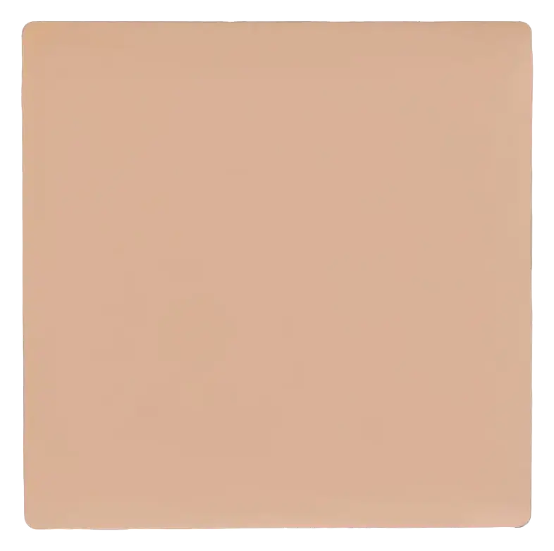 Salt New York Best Case Concealer N13