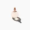 Kindred Black Rose Oil
