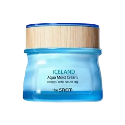 The Saem Iceland Aqua Moist Cream