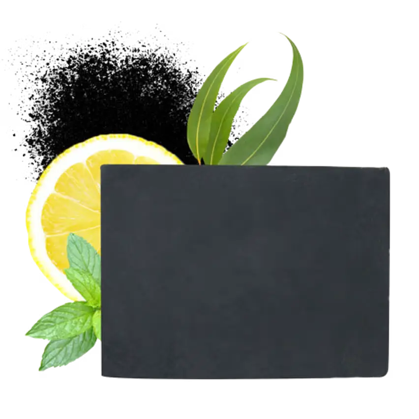 Aroma-Zone Savon Végétal Charbon Detox